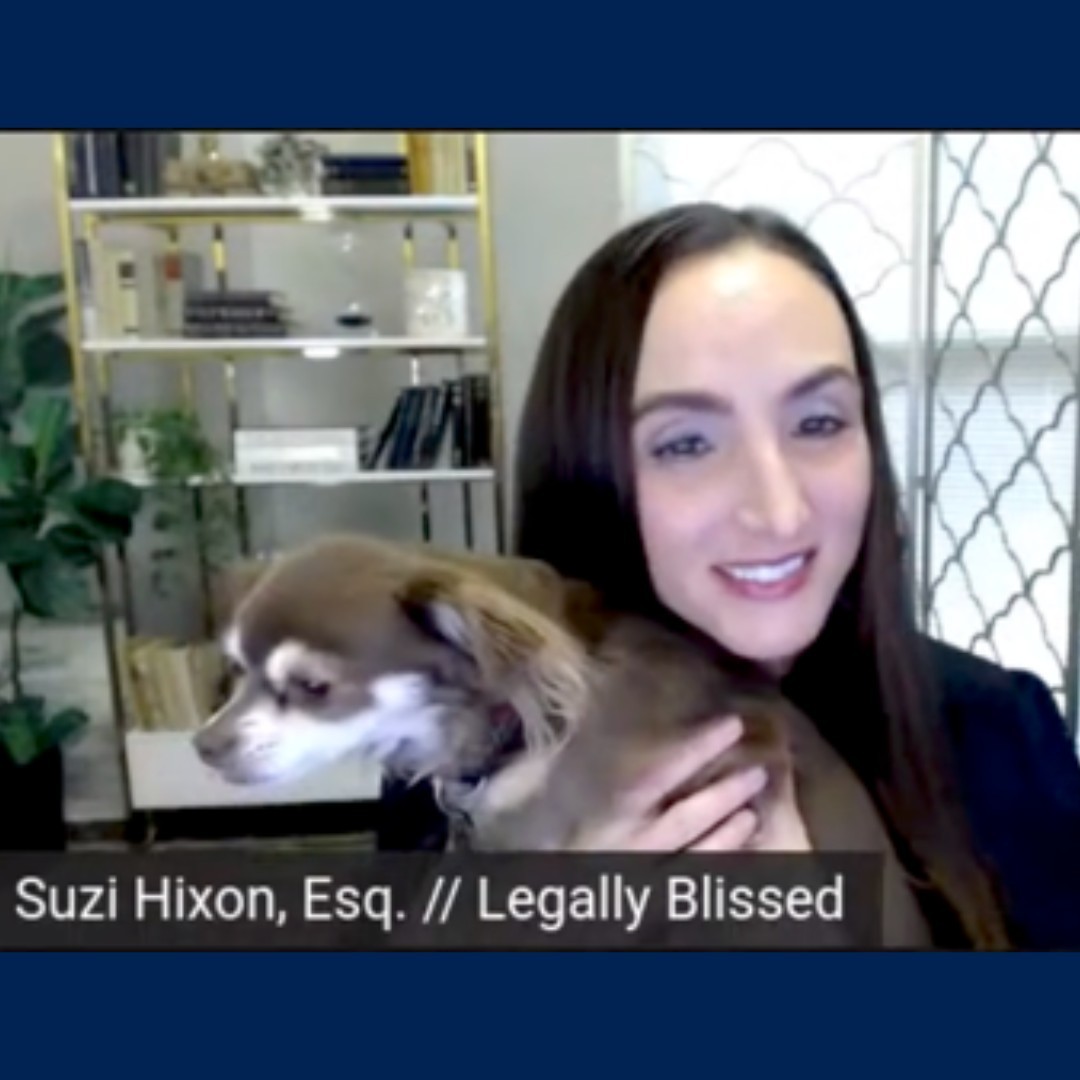 suzihixon's tweet photo. A friend shared a screenshot she took when this cutie popped into my Zoom meeting recently!
My most loyal follower!
#DogsAreGods https://t.co/AcIvYKpJxE