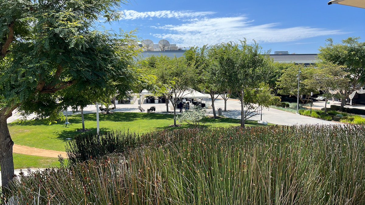 Alan Kieu 🥝 tweet media