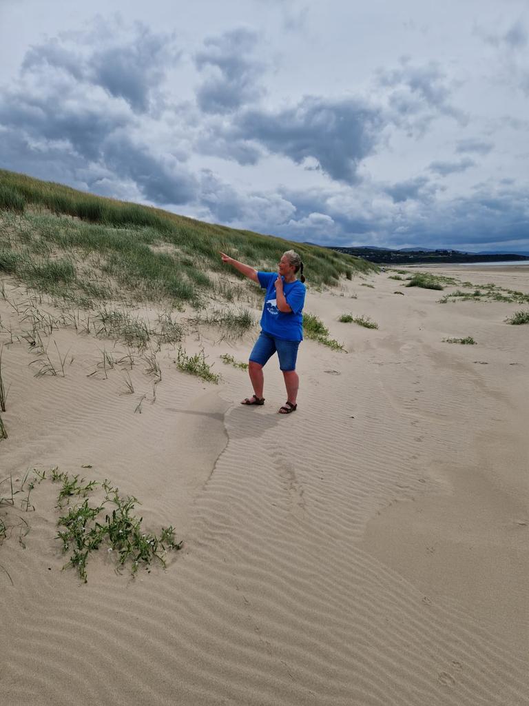 rusheymeadgeog's tweet photo. #RMGoingOut #25 (again) #Harlech #dunes an interesting (and important) geographical feature. https://t.co/IHbUKCUYOP