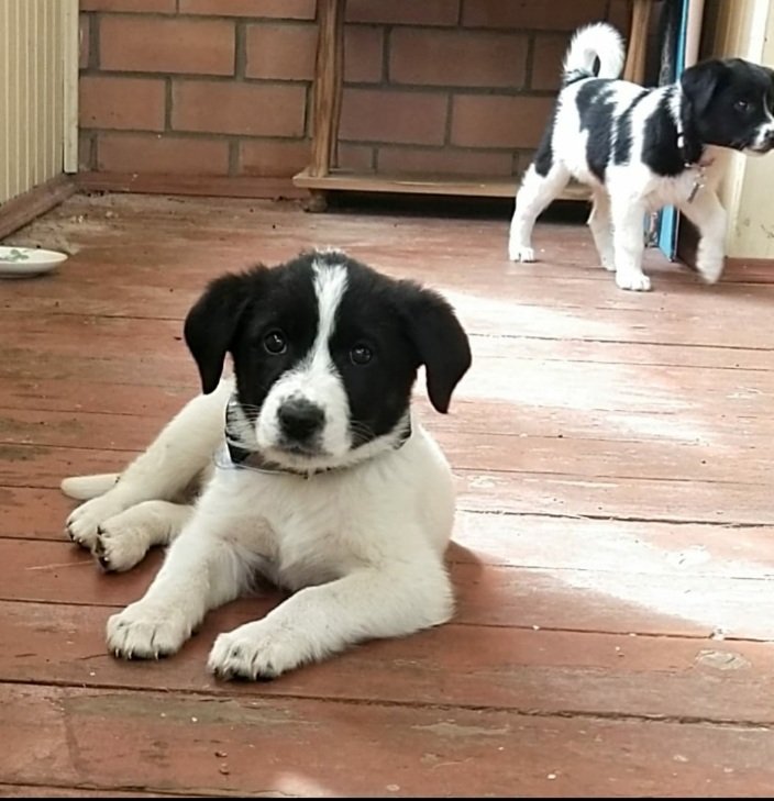 Jane York tweet media