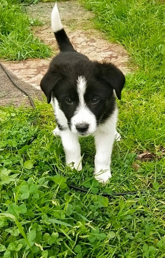 Jane York tweet media