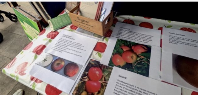 We have recently launched an exciting initiative to discover &amp; plot the lost fruit trees of Stalybridge, plotting the location of fruit in the town and its surrounding countryside and sharing the stories about the history of the trees🍎 
Have a read here👇
bit.ly/3Bn9oqJ