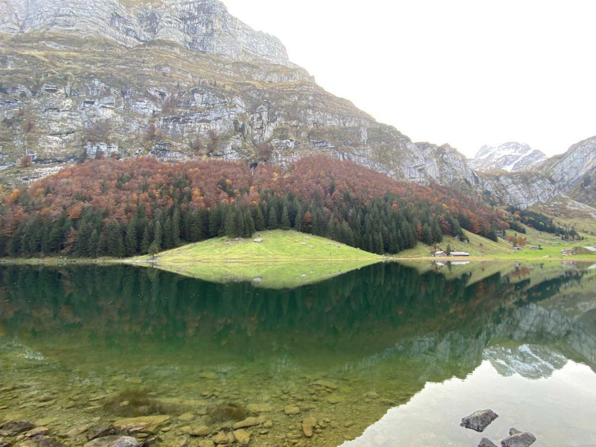 tskane66's tweet image. 