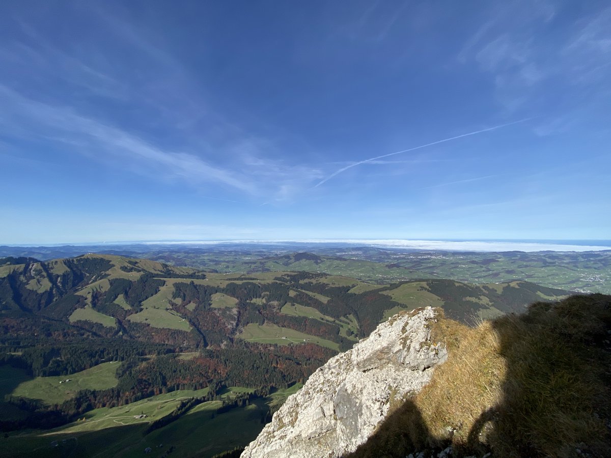 tskane66's tweet image. 