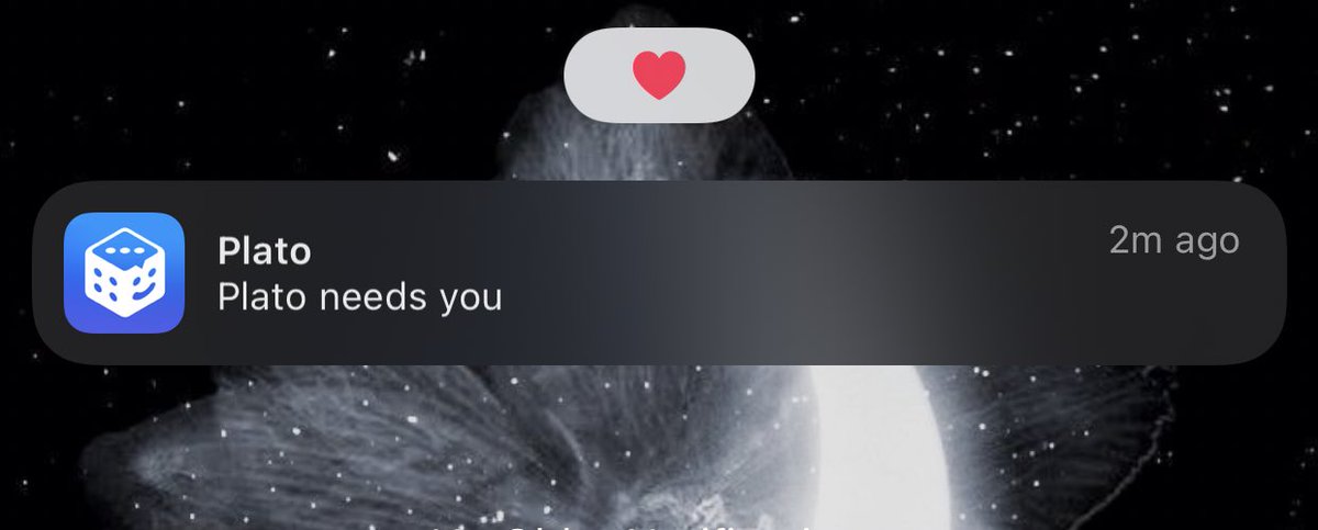 Ioverdad's tweet photo. someone's clingy. 🫥 https://t.co/8fJmiULmB9