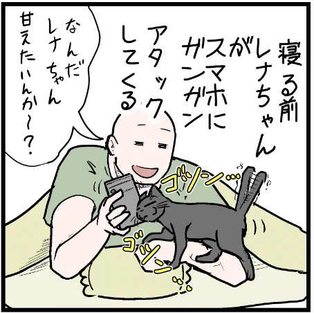 甘えたい猫は飼い主のスマホ閲覧を邪魔すると聞いたけど・・・笑
 #ニャンコ #まんが #猫 #猫あるある #猫漫画 #ペット #飼い主 #エッセイ漫画 #キャット #ねこのいる生活 #4コマ 