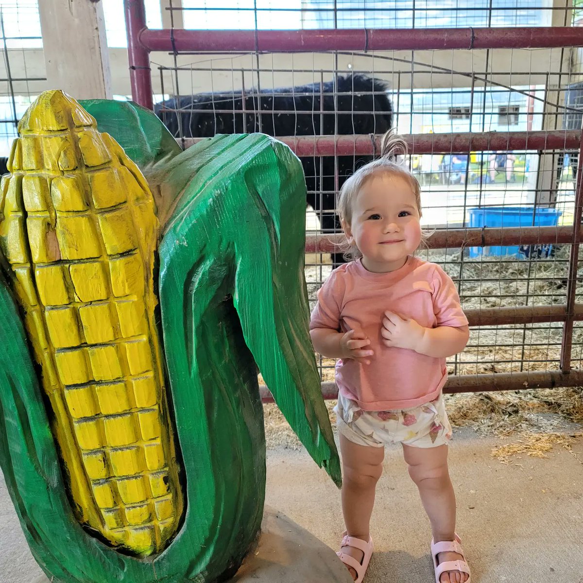 RomanMeyers3's tweet photo. She loves the fair. #johnsoncountyfair https://t.co/0XOu9YvbLe