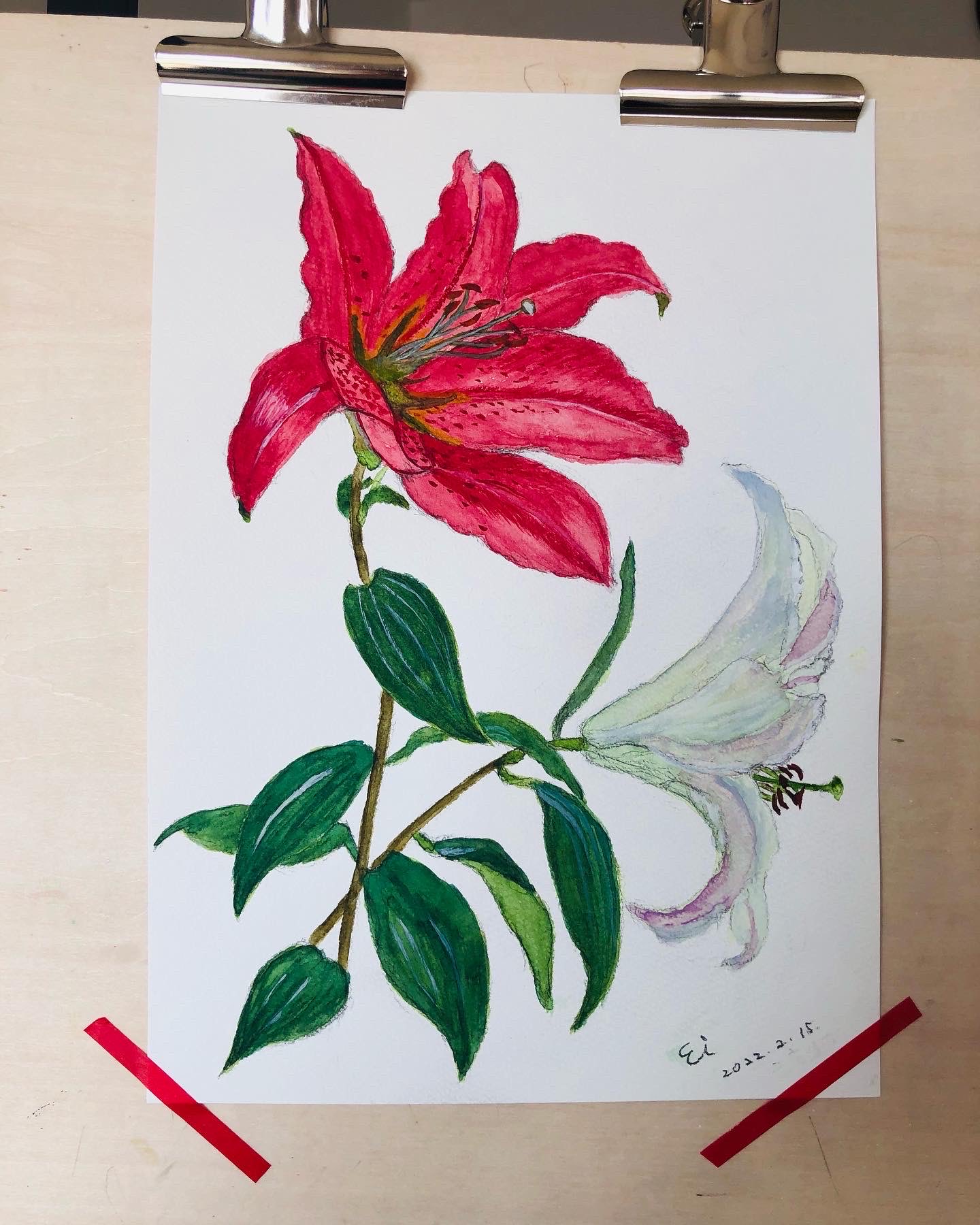 水彩画/花/2022