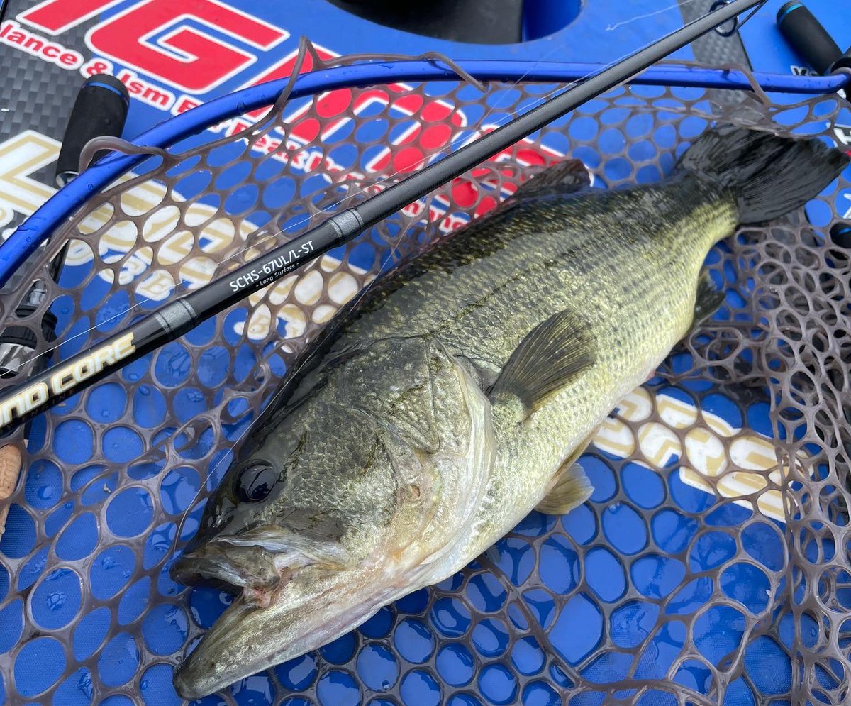 Kazuhito Habu Kazuhito2 Twitter Kazuhito Habu Kazuhito2 Twitter