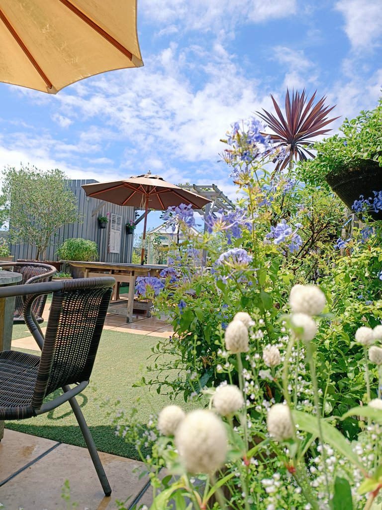 鎌倉スワニー おはようございます ルーフガーデンのミニバラが きれいに咲いていました みずみずしい植物に 今日も元気をもらっています お近くにいらしたら ぜひルーフガーデンに お立ち寄りください スワニー 鎌倉本店 T Co Kvdvfnmknu