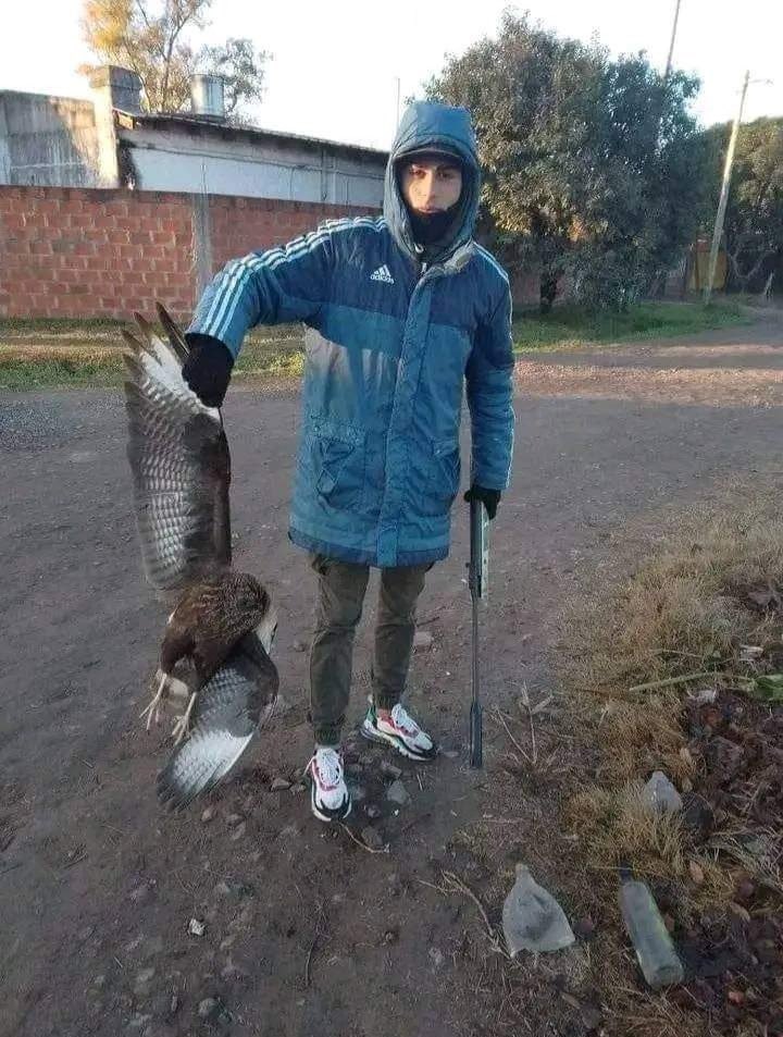 Mataron a mi amigo bo que horrible