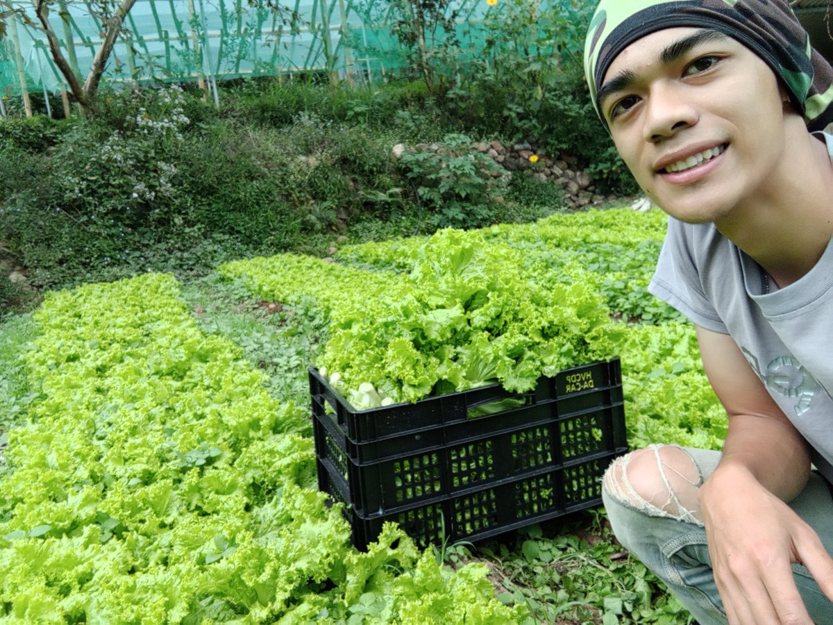 DA_PCAF's tweet photo. #PCAFStories | TRUE TO ITS role as the frontline mechanism for people’s participation in the development of agriculture and fisheries, CAR’s Regional Agricultural and Fishery Council (RAFC) Chairperson Ryan Palunan urged the youth to be inspired in using their creativity https://t.co/ZrSWzOa2sN