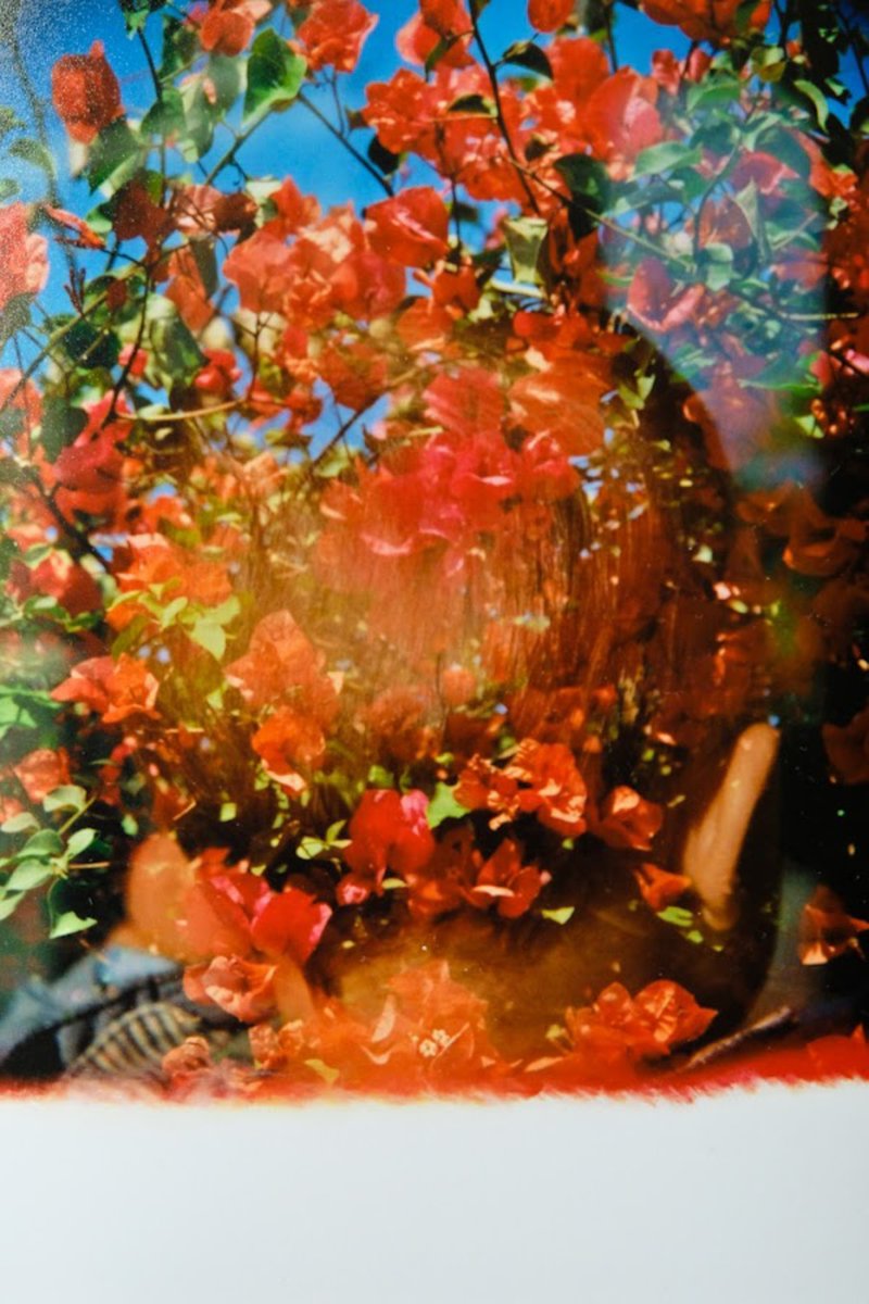 Let's keep going. One more 1/1 NFT added, a gorgeous film work from <a href="/Isarusphoto/">Isa Rus</a> part of @36exps artist group.