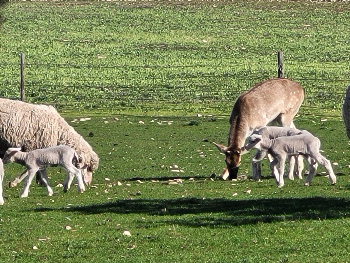 Might have to run a paternity test on this one