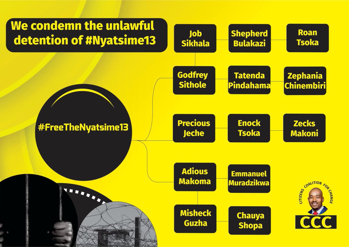 #FreetheNyatsime13