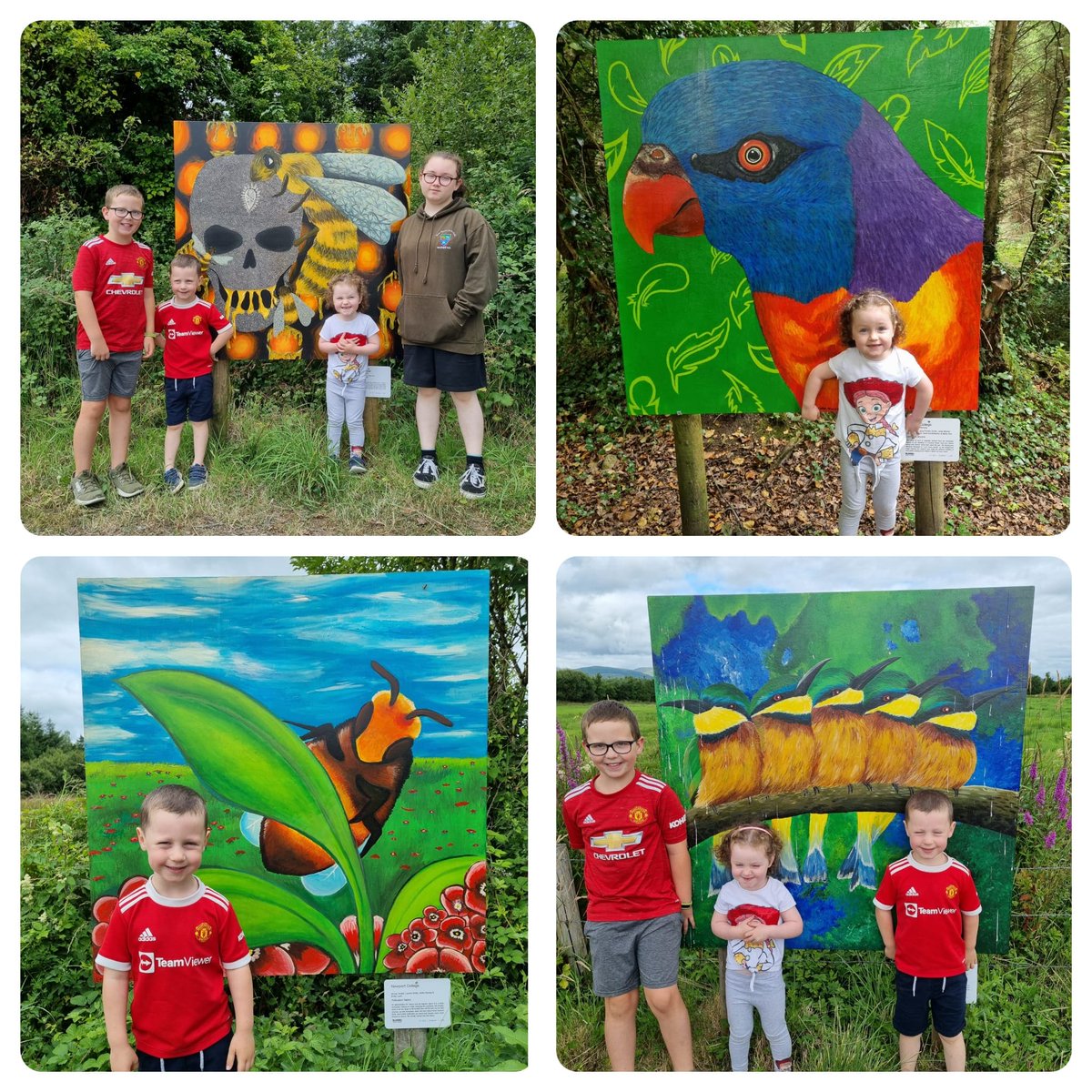 Some great photos sent onto us of Newport College Artworks along the  BIRDS AND BEES open air Art trail this Summer in Birdhill.
@creativeireland <a href="/newport/">newport</a>.college