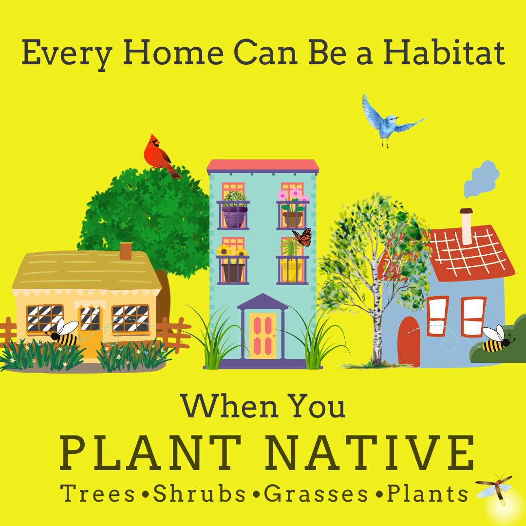 We envision a world where, 'landscaping practices will no longer degrade local ecosystems; landscaping will become synonymous with ecological restoration.' ~Nature's Best Hope #plantnative #habitat
