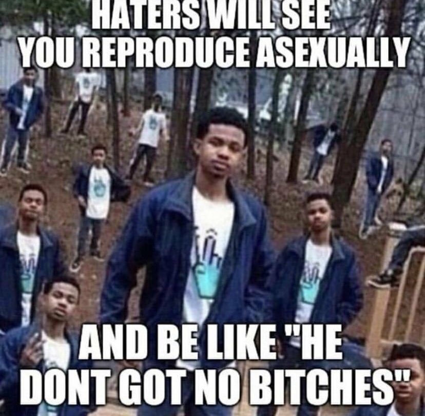 blightbind's tweet image. Why did Verstael send me this