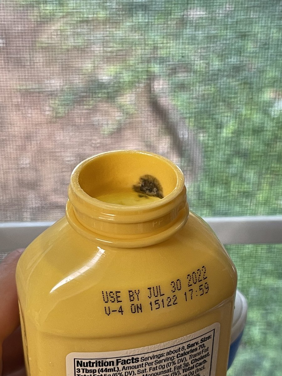 yourguyjax's tweet photo. @justegg please help 🥺 this keeps happening to my bottles freshly opened, fully refrigerated, before the expiration date. My partner and I are huge fans and keep getting disappointed by this 💔 https://t.co/lLuubUO6iT