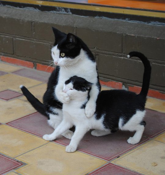 Hey :) before you decide to type that, let’s think! What makes you want to say that? Is it helpful, productive, constructive, or beneficial to you and others? If not, maybe pipe down this time, and try again later :)