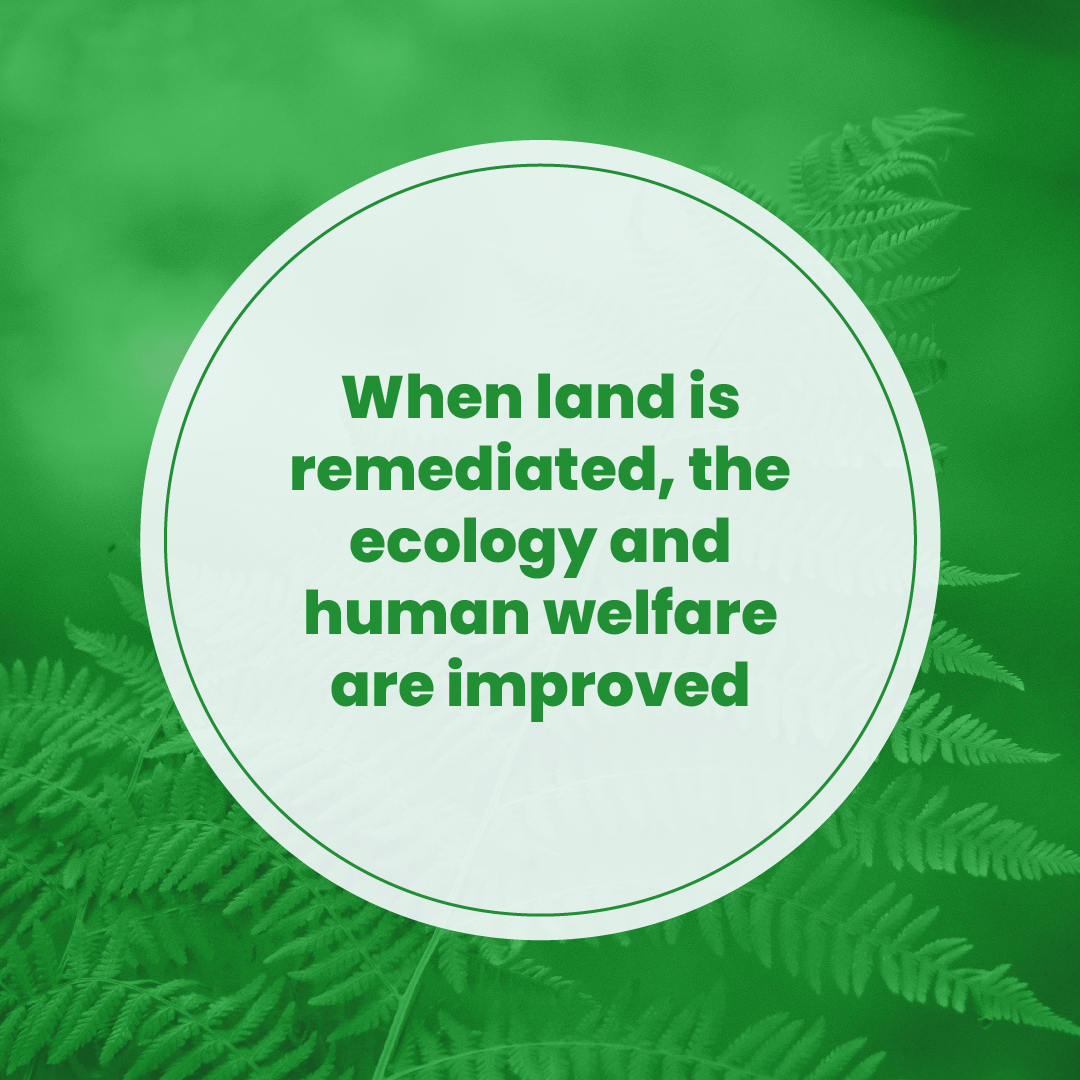thisislbx's tweet photo. Happy land. Happy ecology. Happy humans. Learn how you can get involved with our revolutionary approach to cleaning up the mess left behind by industrial waste. Visit https://t.co/ygebZujFvX today!

#ThisIsLbx #LandRemediation #cryptonews #ecology https://t.co/YzEyBboANc