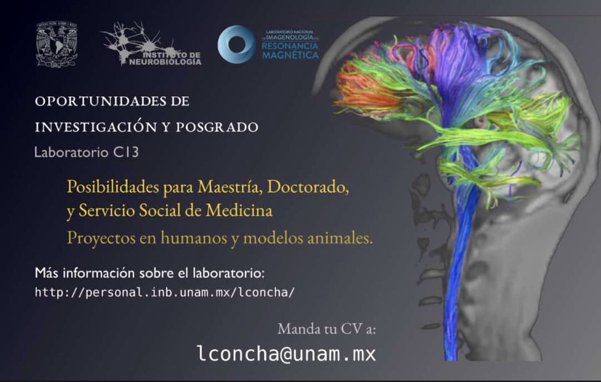 Positions available is the brain connectivity lab in Mexico 

personal.inb.unam.mx/lconcha/