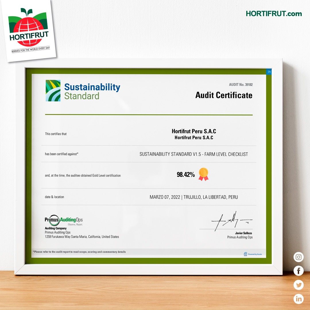 Hoy saludamos a nuestros amigos de #HortifrutPERÚ 🇵🇪. Estamos muy orgullosos de haber obtenido un 98.42% 🏵️ en nuestra certificación de sustentabilidad, realizada por los capos de @primusauditingops 💚.

#HORTIFRUTPerú #SomosHortifrut #BerriesForTheWorldEveryDay