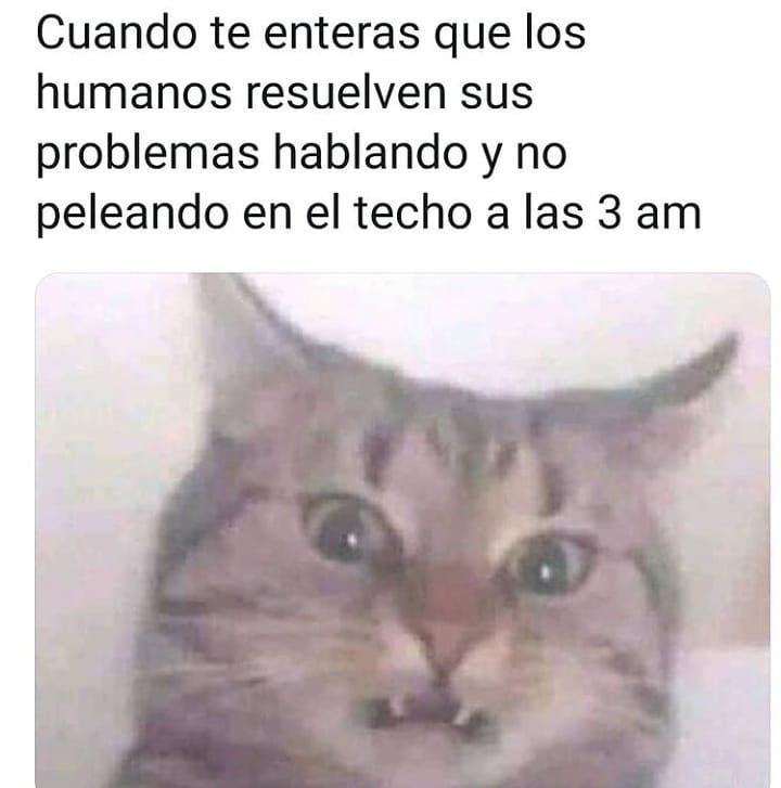 No todos hablan 🥊