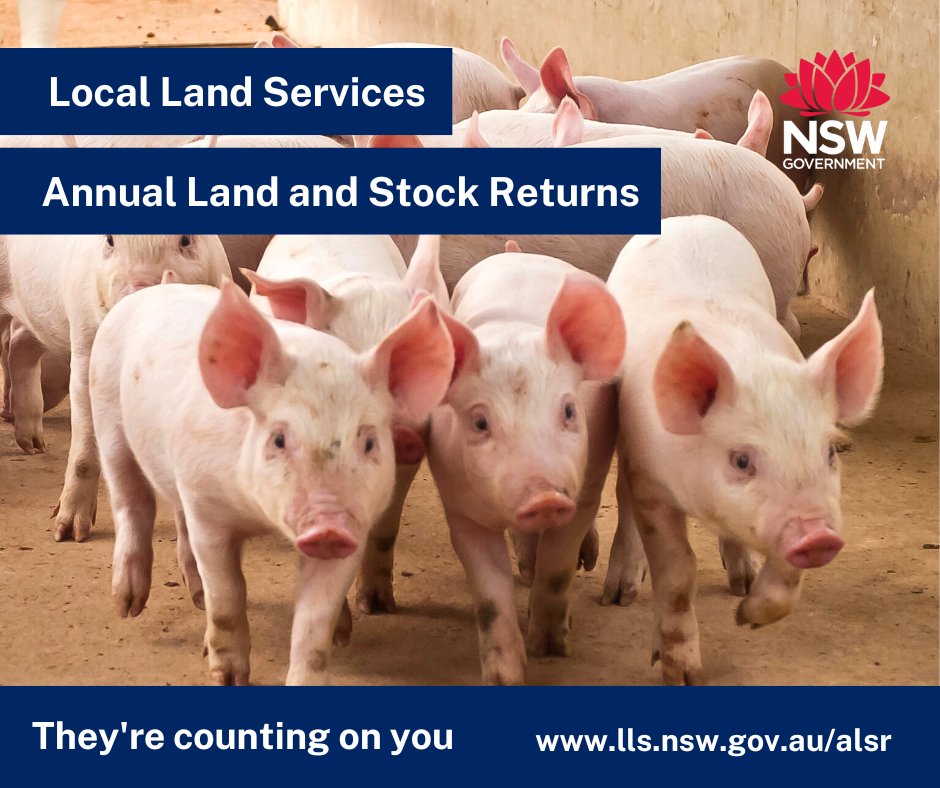 If you've had issues lodging your Annual Land and Stock Return via our online portal we have created a secure new form to help you complete your return online in just a few minutes! 🐮 🐑 🐐 

Visit lls.nsw.gov.au/alsr to lodge your return before 31 August 2022.
