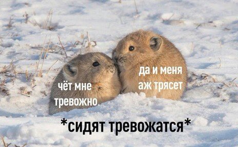 __balbes__'s tweet photo. ЗАКРЕП.

• Маша/Маха; она/её
• Дружелюбная, но ворчливая✨
• Здесь я ною и восхищаюсь мужиками🛐
• Фоткаю, рисую, пою, пишу стихи (всё кроме пения здесь есть)🎵📸
• Дохуя мата 🤬
• Я не шарю за твиттер, я дед 🍂
• Биология ☦️🔯🌿
• Паша Личадеев - секс 🔞
• Всех люблю 💞 https://t.co/i1bxuR9HrP