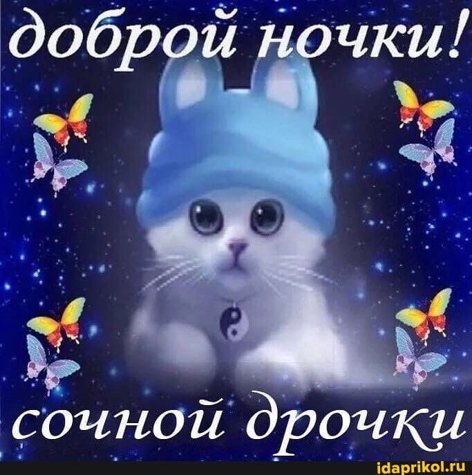 __balbes__'s tweet photo. ЗАКРЕП.

• Маша/Маха; она/её
• Дружелюбная, но ворчливая✨
• Здесь я ною и восхищаюсь мужиками🛐
• Фоткаю, рисую, пою, пишу стихи (всё кроме пения здесь есть)🎵📸
• Дохуя мата 🤬
• Я не шарю за твиттер, я дед 🍂
• Биология ☦️🔯🌿
• Паша Личадеев - секс 🔞
• Всех люблю 💞 https://t.co/i1bxuR9HrP