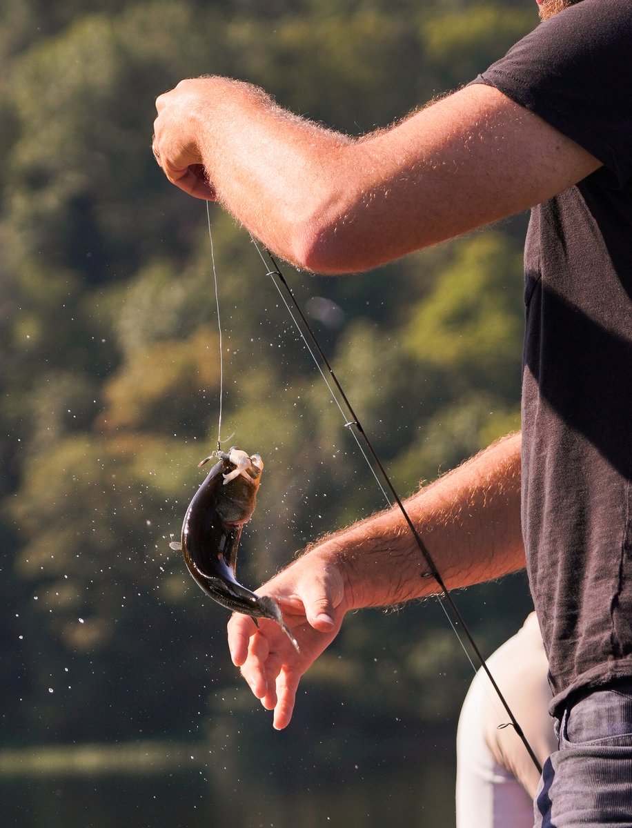 TravelOK's tweet photo. Have you tackled the Oklahoma Fishing Trail's Grand Slam Challenge? If you choose to accept it, the challenge is to catch 5 select fish species in Oklahoma! Along with bragging rights, you'll also receive an exclusive decal for your tackle box. https://t.co/L8cfuef1k4 #FishInOK https://t.co/i0PXQJogwp