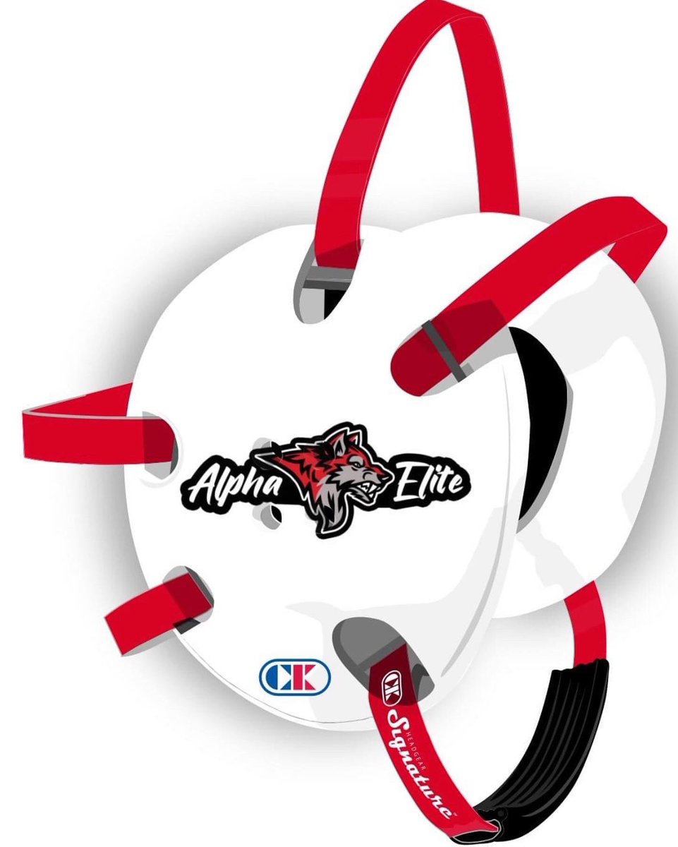 robertawinter's tweet image. Alpha Elite Academy is the real deal. Here are my observations from the first night.

1. Coaching culture - positive reinforcement, encouragement, constructive feedback. Just what young kids need as they are developing their self image, self worth and values as well as skills.