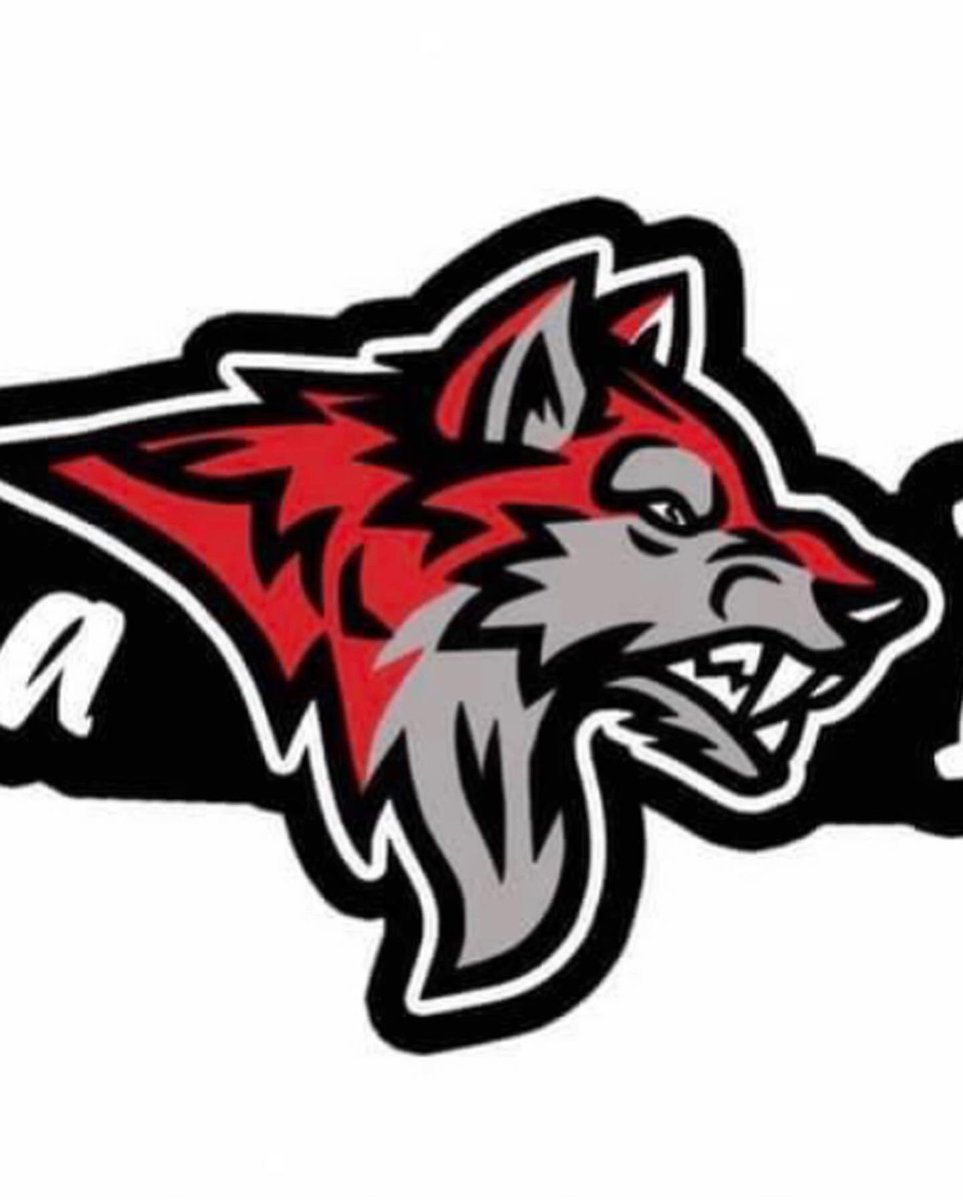 robertawinter's tweet image. Alpha Elite Academy is the real deal. Here are my observations from the first night.

1. Coaching culture - positive reinforcement, encouragement, constructive feedback. Just what young kids need as they are developing their self image, self worth and values as well as skills.