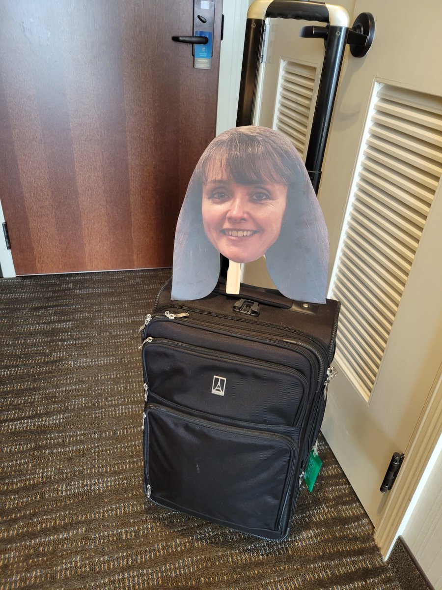 One last <a href="/KristinKJanke/">Kristin Janke</a> sighting for #PharmEd22. Great conference <a href="/AACPharmacy/">AACP</a>!