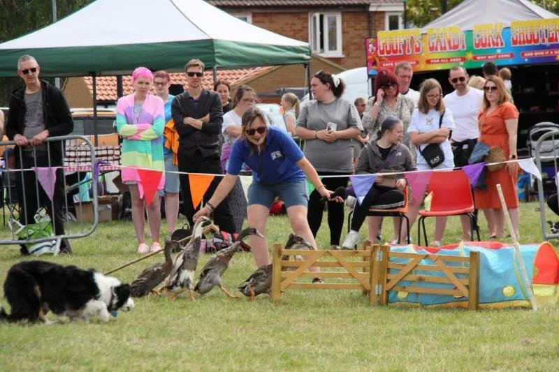 Stainless Metalcraft tweet media