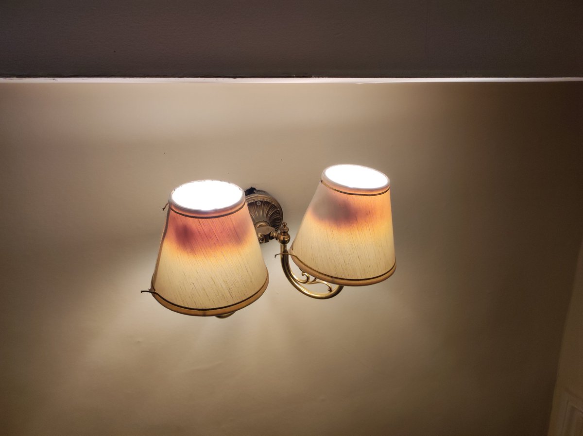 carla gartland tweet media