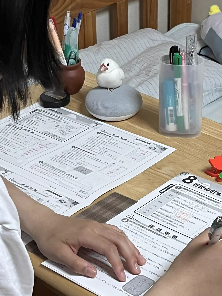 宿題をしている女の子の姿に向けられる鋭い眼差し。文鳥監督現る。