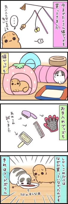 十数年ぶりに買い替え!猫グッズソムリエが見落としていた物【連載】もふもふスコたん#236|ねこのきもちWEB MAGAZINE  