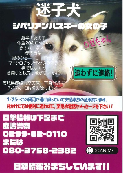 decchi_ai's tweet photo. https://t.co/KrL97q0KAk