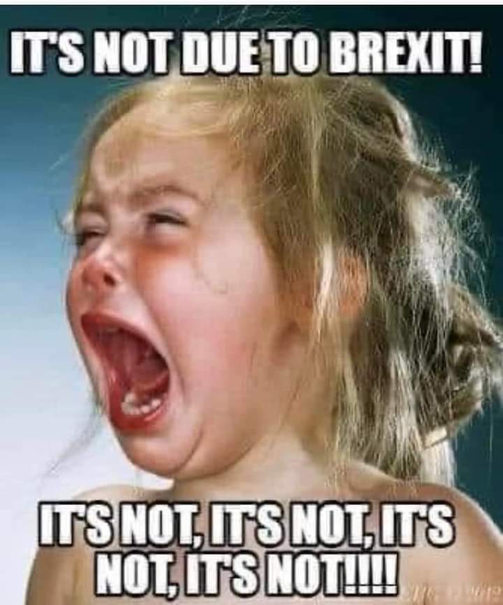 VermisstPfarrer's tweet photo. @_HenryBolton @GBNEWS Last night on ⁦@GBNEWS⁩ we established that {everything that's a consequence of our foolish actions isn't really our fault} but {blame the EU}. Watch #TheSlash https://t.co/jj04NU47jE