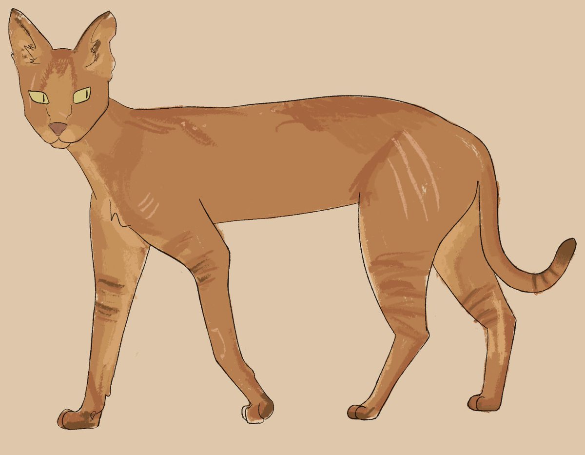 ravenkroftt's tweet image. anyways i do art here&apos;s a fuckin cat i drew for an rp i never did