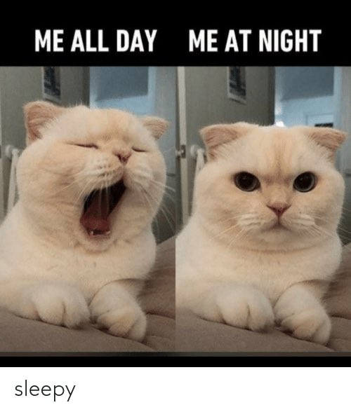midnight_minor's tweet photo. GM～～🥱🥱🥱🥱🥱💤💤💤💤
#morning #mood https://t.co/eMtF1WCy94