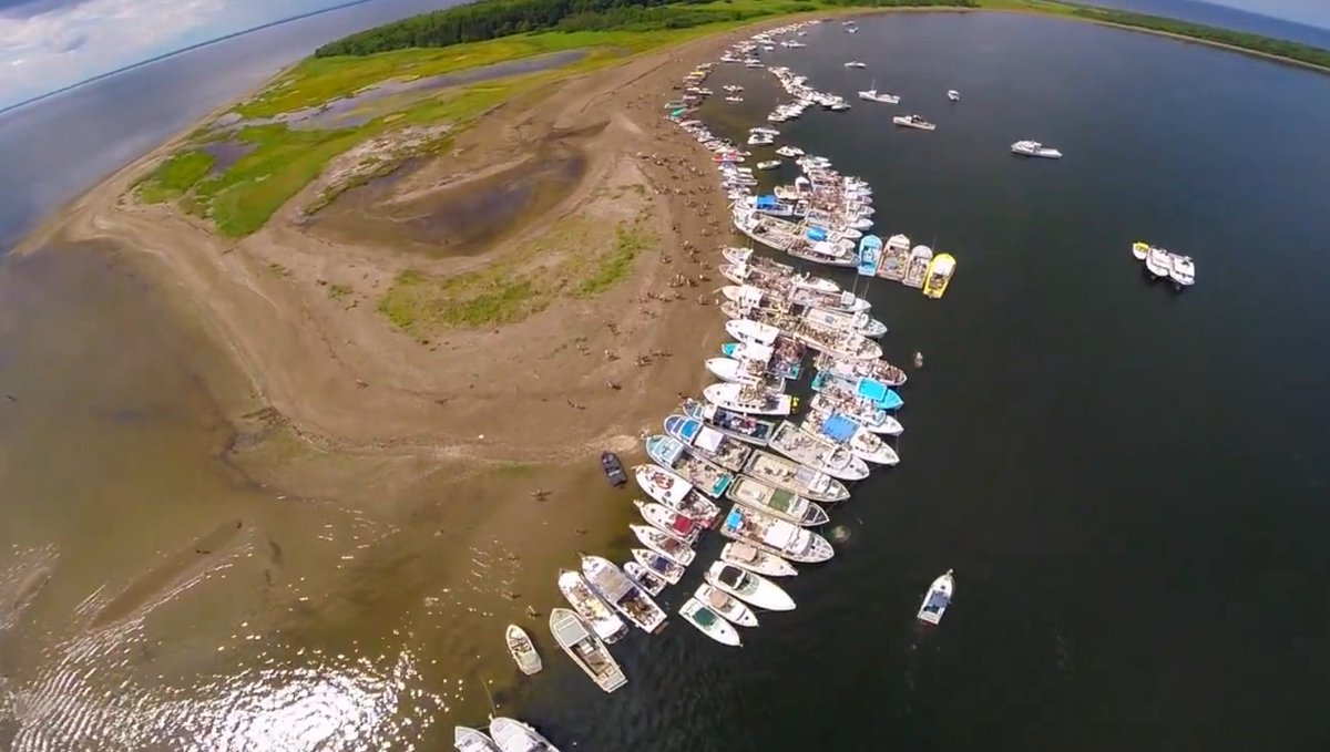 MissFata1ity tweet media