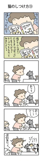 猫のしつけ方③#こんなん描いてます #自作まんが #漫画 #猫まんが #4コママンガ #NEKO3 