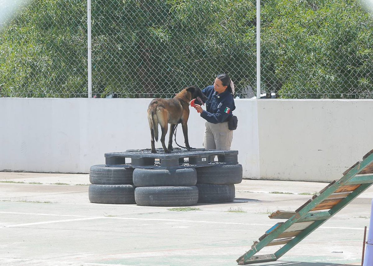 Develamos la placa del primer Campo de Tiro en la historia de <a href="/DMSPDGO/">DMSP DGO</a>, gracias al Consejo Cívico Ciudadano A. C. <a href="/soterosoto/">Sotero Soto</a> y a <a href="/CaniracDgo/">Canirac Durango</a> con su Presidente <a href="/miguelherredgo/">Miguel Camacho</a>.

#ComoNuncaAntes hay mejor capacitación, Academia femenil, equipamiento además de 19 perros entrenados.