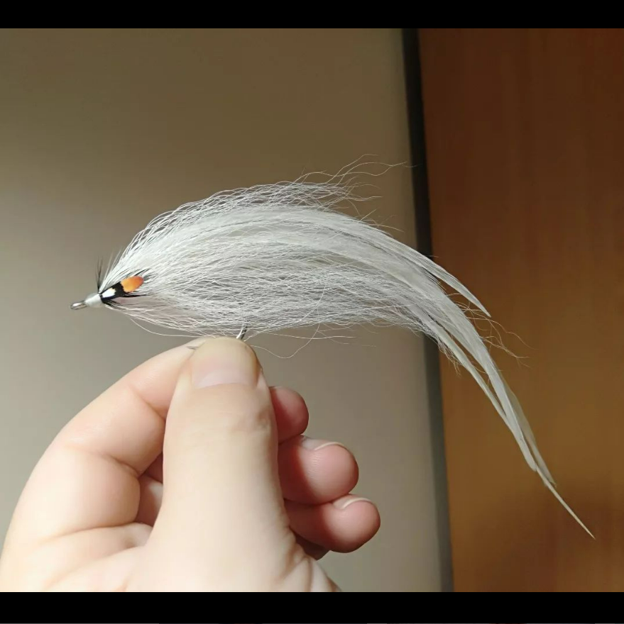 ZZ_Troutski's tweet photo. Simple
@thelostfly
Starting the week off with a little white flatwing.
#flytyingjunkie #flytyer #flytying #flyfishing #streamerfishing #flatwingflies #saltwaterflies #saltwaterflyfishing https://t.co/kEVri4hoL0