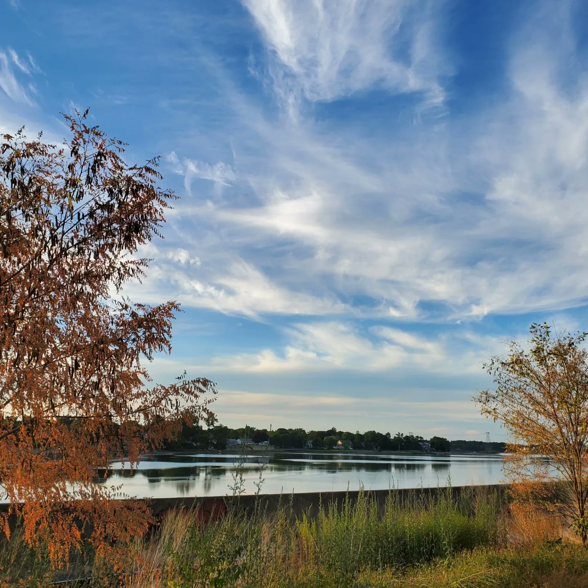 The Meemz of Clan Racludi tweet media