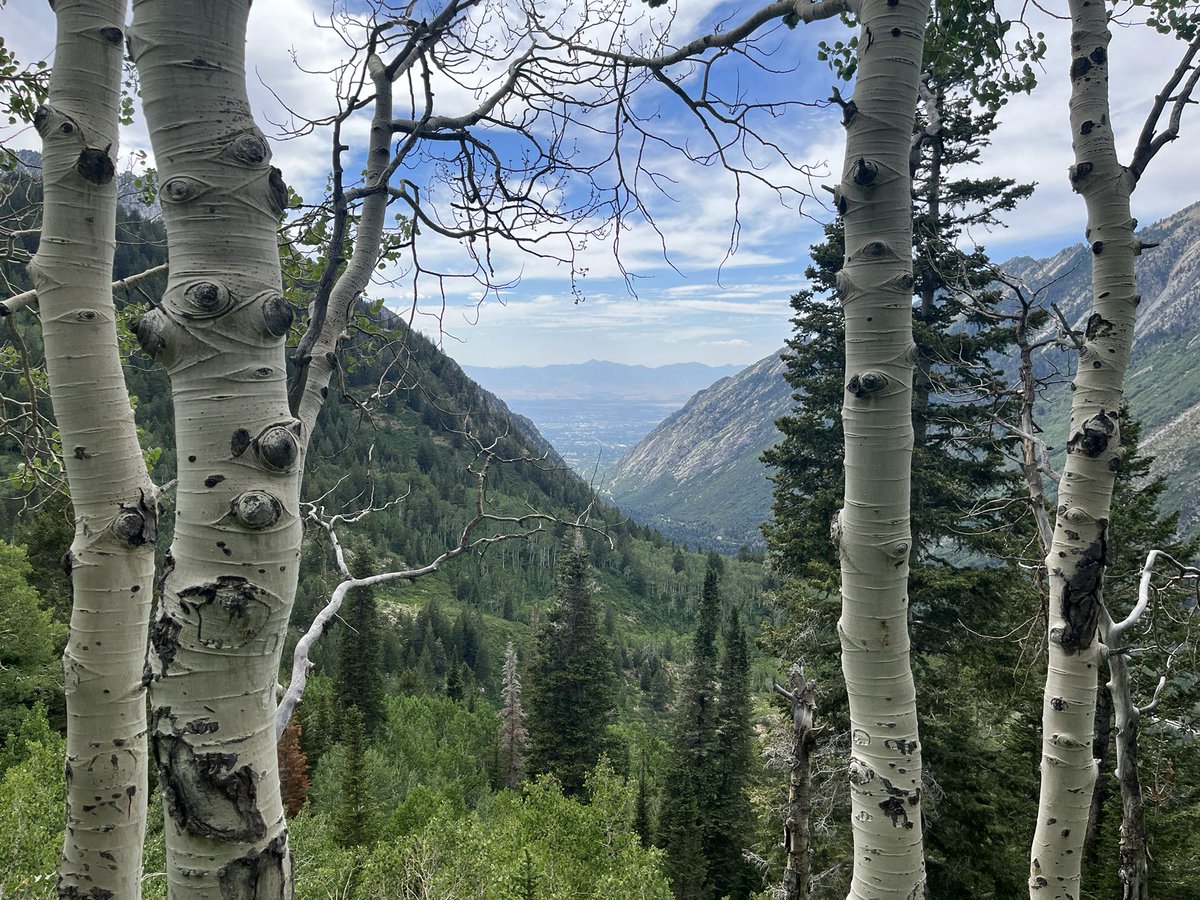 Joel Boerckel tweet media