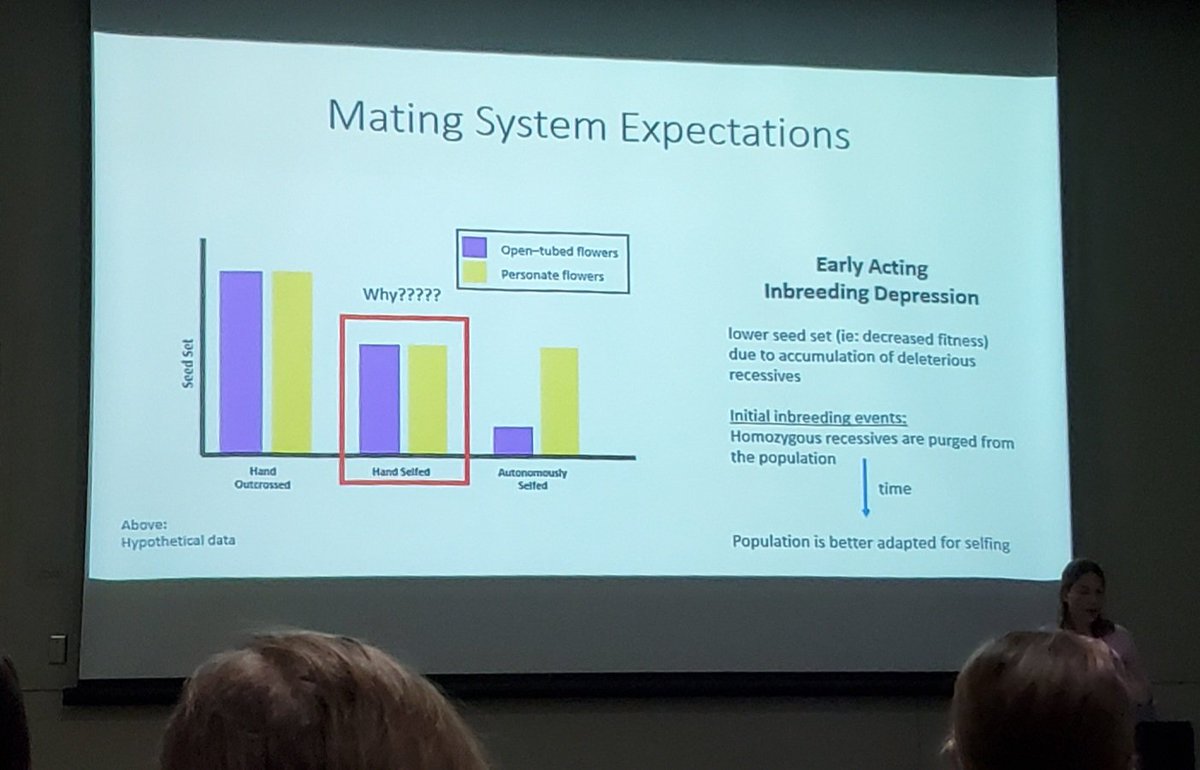 Thoughtful and thorough study by <a href="/TrinityDepatie/">Trinity Depatie</a> on #Penstemon floral evolution! Incredible to see all this come from a single PhD student! Congrats!!! #Botany2022